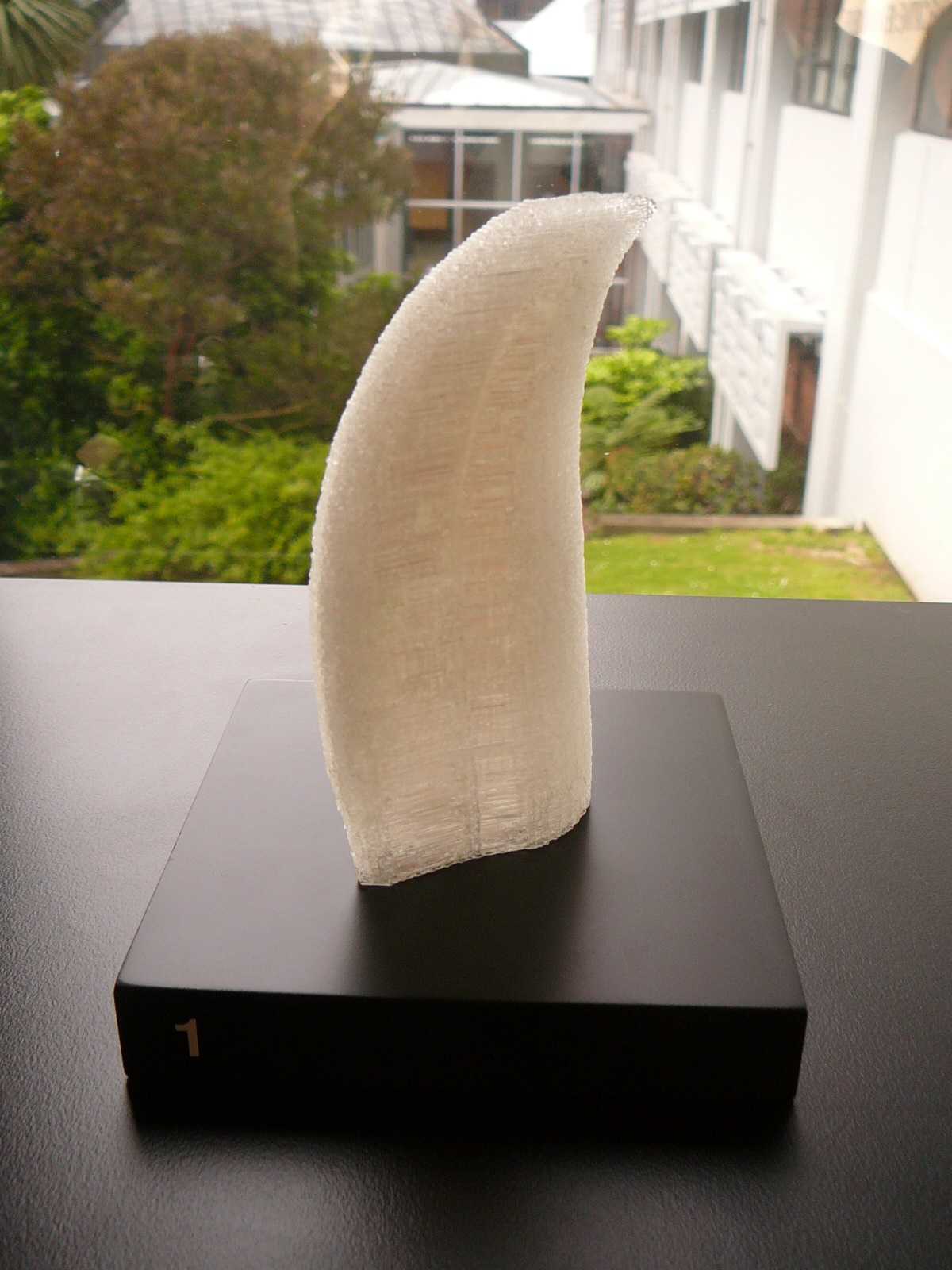 01 sperm whale tooth2