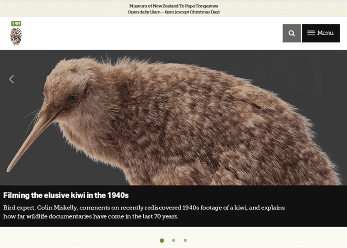 Te Papa website screenshot